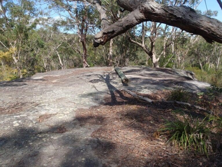 Girrakool Loop Track (1.4km) Girrakool loop track 768x576