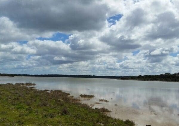 Lake preston 600x422