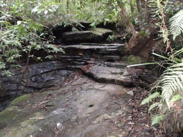 Hikes Lawson lookout from fairy dell reserve 600x450