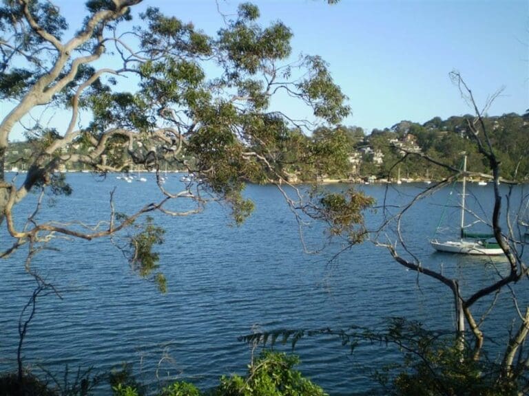 North Arm Walking Track (3.1km) North arm walking track 768x576