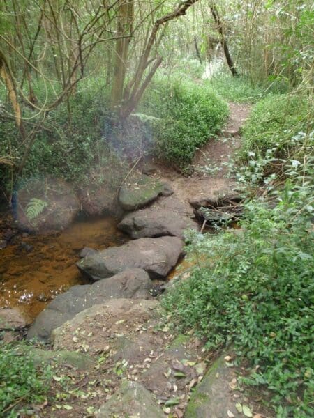 Hikes Riverside walking track 450x600