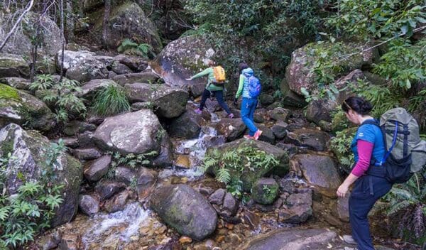 Day Hikes Australia Rodriguez pass walking track trail hiking australia 600x352