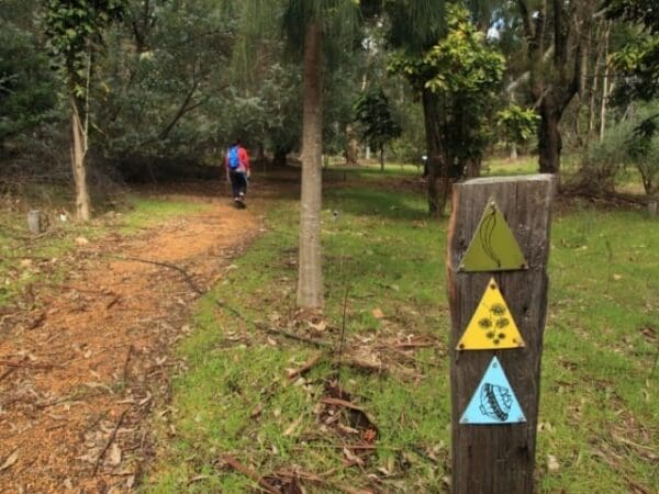 Tall gum short walk 600x450