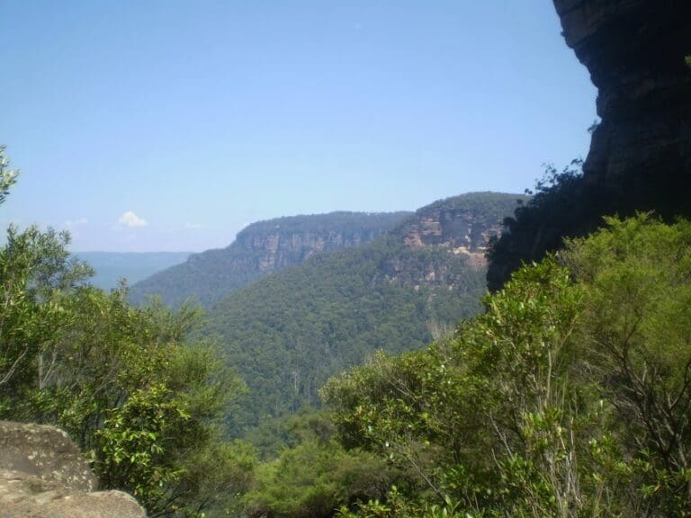 Wentworth Falls Station Loop Hike (9.5km) Wentworth falls station loop 768x576