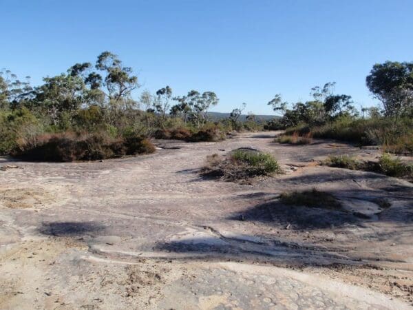 Wondabyne to woy woy 600x450