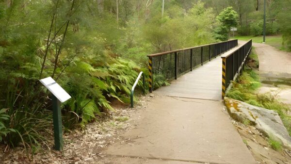 Bellamy St to De Saxe Cl Dog Walking Trail (500m) Bellamy st to de saxe cl dog walking trail (500m)