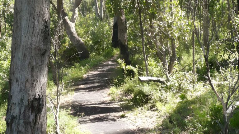 Euglah rock walking track (650m)