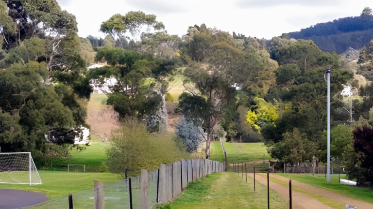 Margate Rivulet Track (4km) Margate rivulet track (4km)