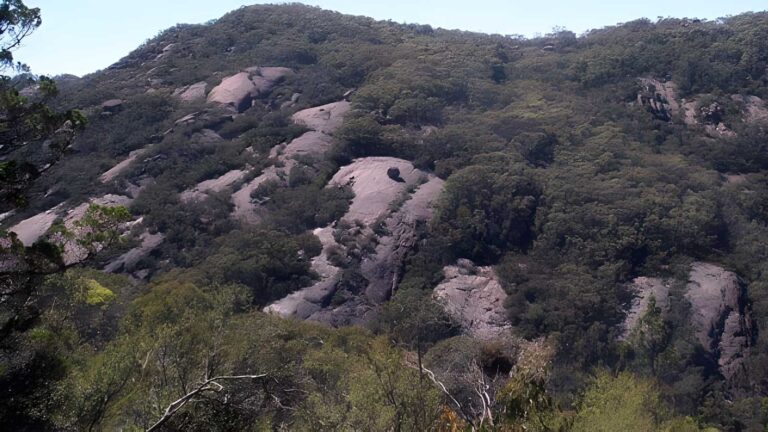 Mount Burrowa Hike (24km) Mount burrowa hike (24km)