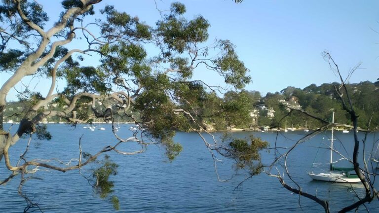 North Arm Walking Track (3.1km) North arm walking track (3. 1km)