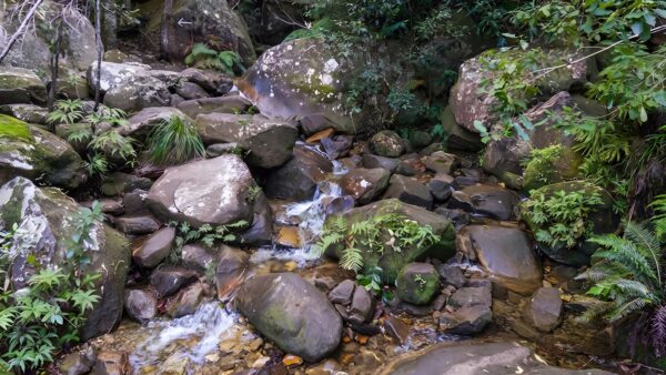 Rodriguez pass walking track (12km)