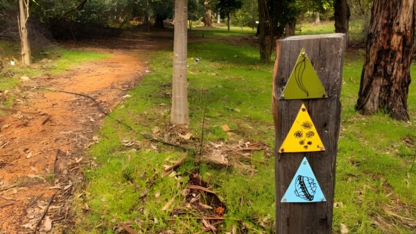 Tall gum short walk (650m)