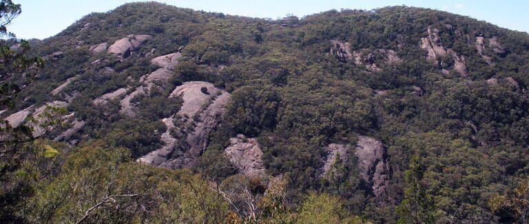 Trail hiking mt burrowa 23km 768x325