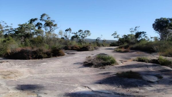 Wondabyne to Woy Woy Hike (15.4km) Wondabyne to woy woy hike (15. 4km)