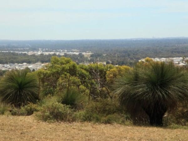 Mount Dale Circuit Walk (2.5km) Macora walk trail 600x450