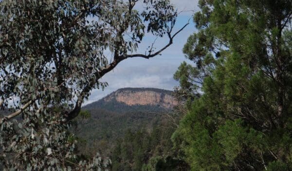 Mount murga to mount nangar loop walk trail hiking australia 1 600x352