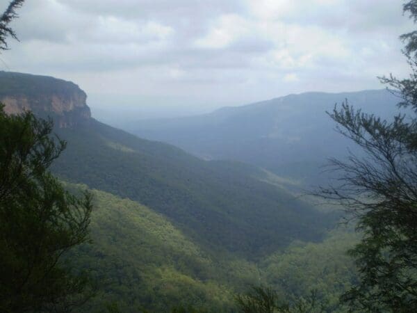 Hikes Overcliff undercliff track 600x450