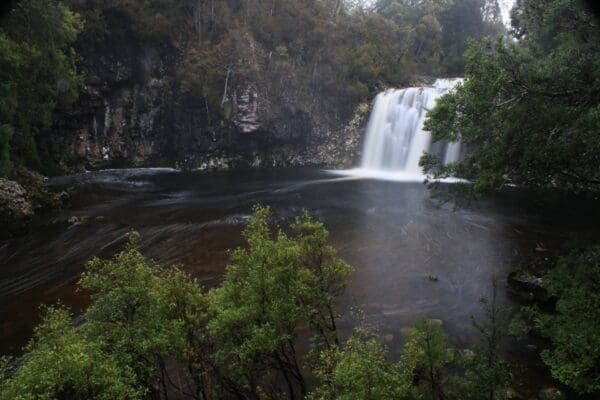 Enchanted Forest Walk (1.6km) Pencil pine falls 600x400