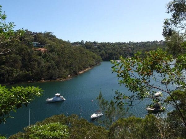 Spit to lindfield 600x450