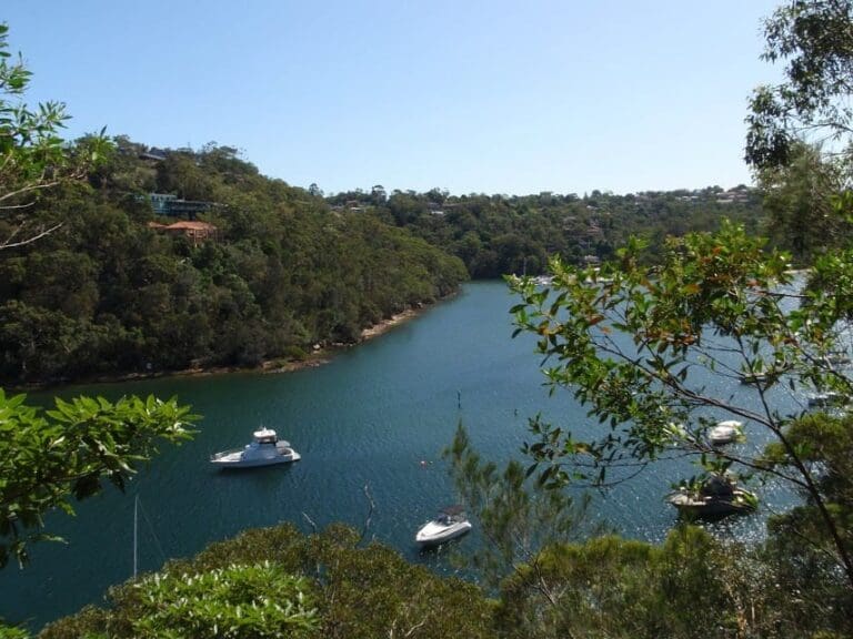 Spit to Lindfield Hike (22.6km) Spit to lindfield 768x576