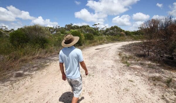 Hikes Waratah walking track trail hiking australia 600x352