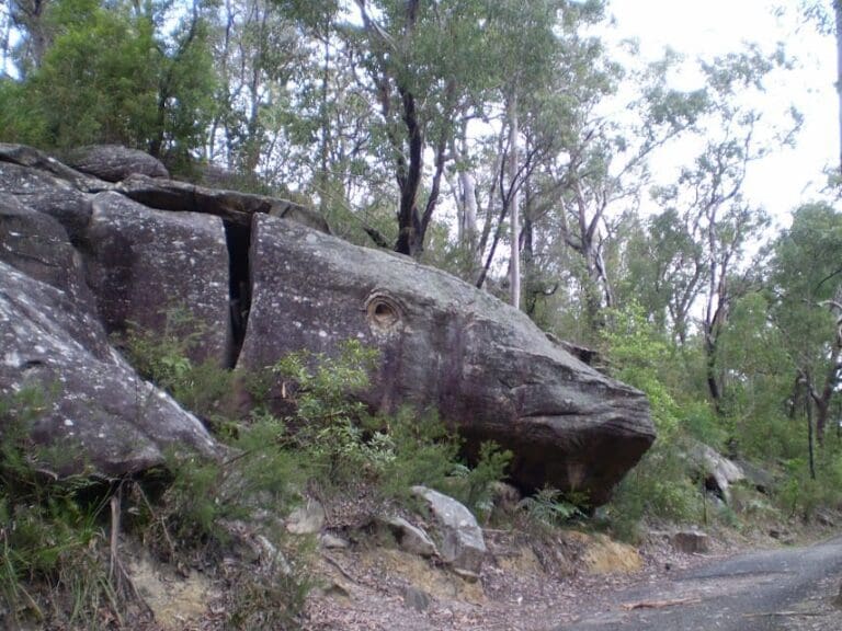 Whale Rock Walk (500m) Whale rock 768x576