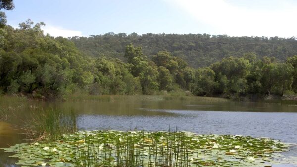 Cowan to Wondabyne Station - Patonga Rest Area Hike (33.4km) Cowan to wondabyne station - patonga rest area hike (33. 4km)