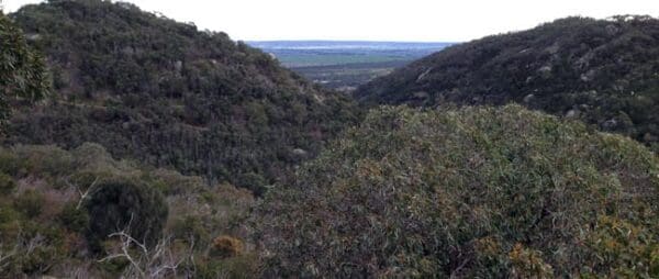 You Yangs Circuit Hike (12.3km) East west 600x254