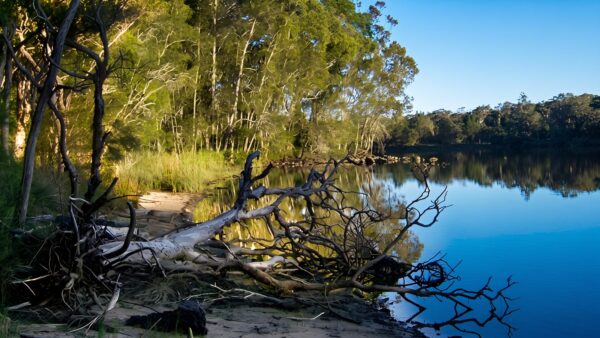 Five Islands Walking Track (2.4km) Five islands walking track (2. 4km)