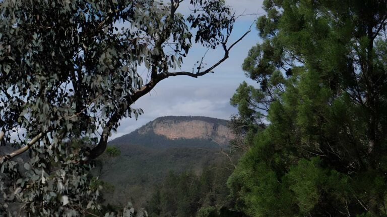 Mount Murga to Mount Nangar Loop Walk (16km) Mount murga to mount nangar loop walk (16km)