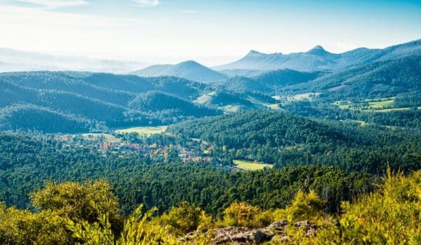 Hikes Trail hiking keppell lookout steavenson falls 15 5km 600x350