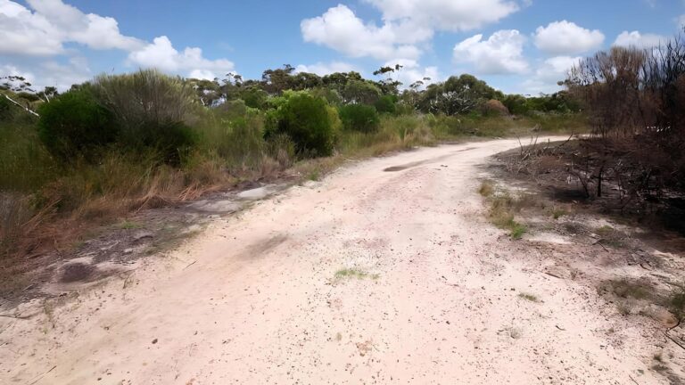 Waratah Walking Track (10km) Waratah walking track (10km)