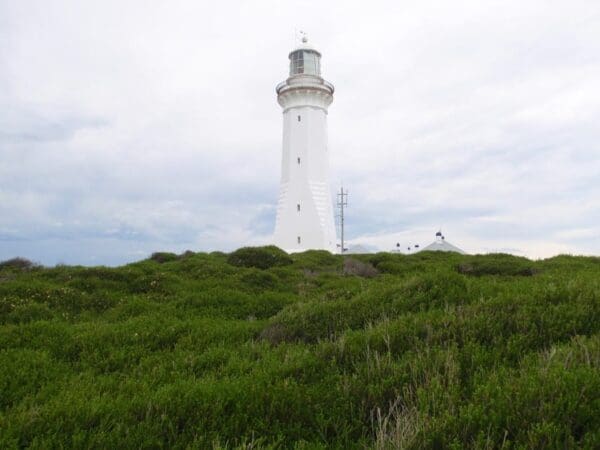 Saltwater Creek to Mowarry Point Hike (8.5km) Bittangabee bay to green cape lighthouse 600x450