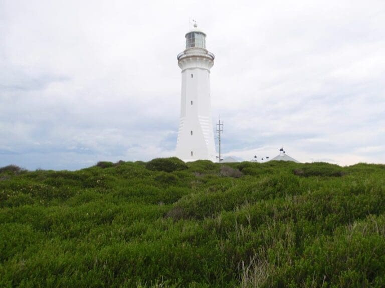 Bittangabee Bay to Green Cape Lighthouse Hike (8.5km) Bittangabee bay to green cape lighthouse 768x576