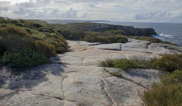 Boora point walking track trail hiking australia 600x352