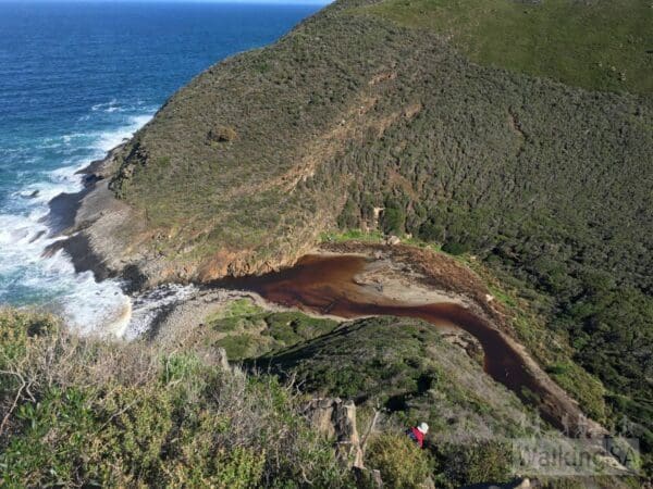 Boat Harbor Hike (7.8km) Deep creek cove from tapanappa lookout 600x450