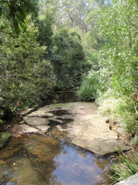 Hikes Epping to cheltenham station via whale rock 450x600