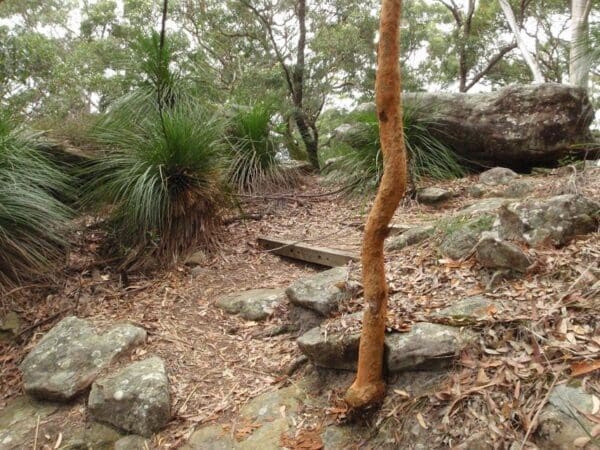 Katandra circuit 600x450