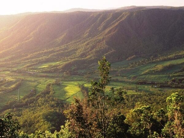 Pine grove circuit 600x450