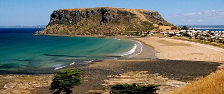 The Nut Circuit Walk (2.9km) The nut circuit trail hiking australia 768x325