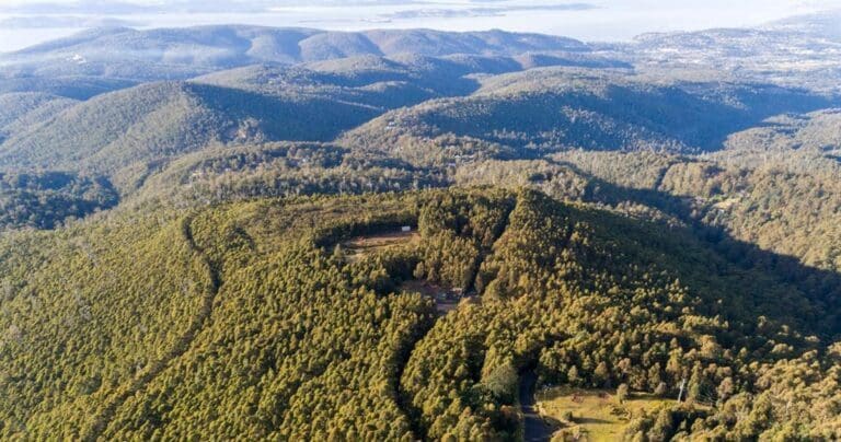 The Springs to the Pinnacle Walk (3.4km) The springs to the pinnacle 768x404