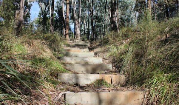 Wallaby walking track trail hiking australia 600x352