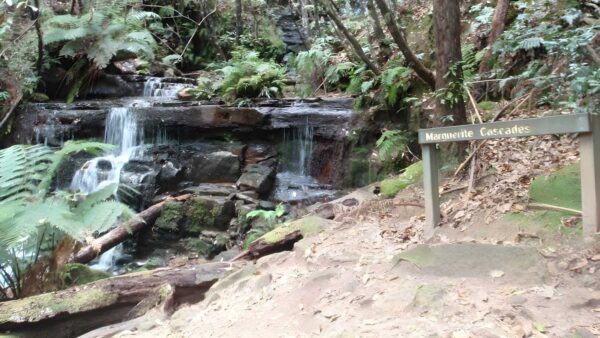 Echo Point to Leura Forest Circuit Walk (4.8km) Echo point to leura forest circuit walk (4. 8km)