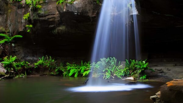 Lorne Waterfalls: Canyon & Castle Rock Hike (23.4km) Lorne waterfalls: canyon & castle rock hike (23. 4km)