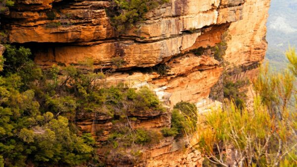 National Pass Overcliff & Den Fenella Circuit Walk (5km) National pass overcliff & den fenella circuit walk (5km)