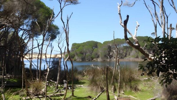 North Tura Beach to Bournda Lagoon Walk (3.5km) North tura beach to bournda lagoon walk (3. 5km)