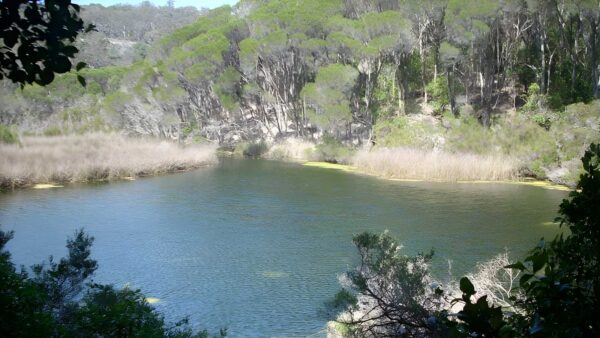 Sandy Creek Loop Track (6km) Sandy creek loop track (6km)