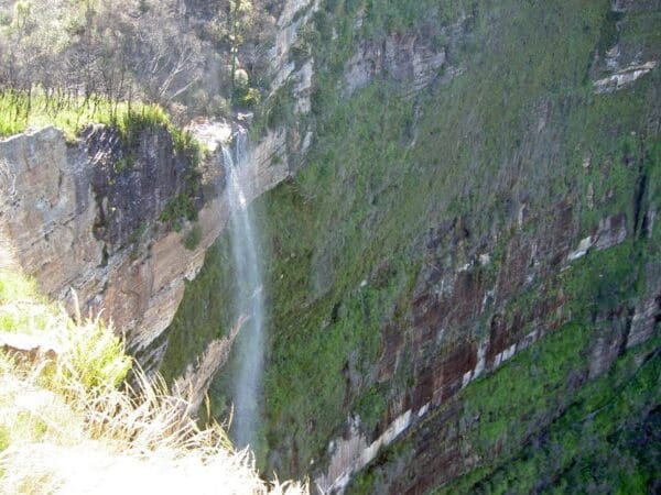 Walls Ledge, Porters Pass, Centennial Glen Circuit (5.8km) Braeside govetts and popes glen track 600x450