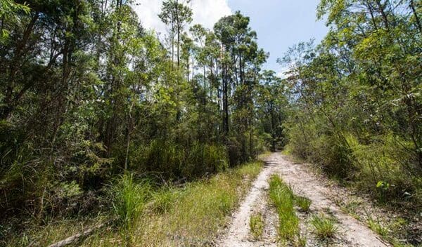 Double wharf trail trail hiking australia 600x352