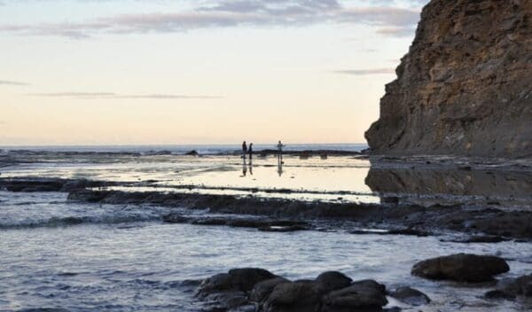 Mount Budawang Trail Walk (8km) Rock platform walk depot beach trail hiking australia 600x352